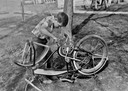 TomBike1955 2