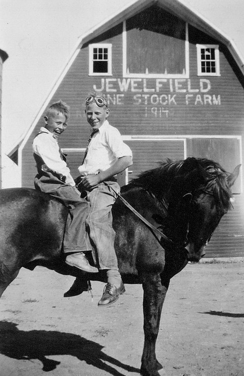 HH035 HankRobertHorse1930