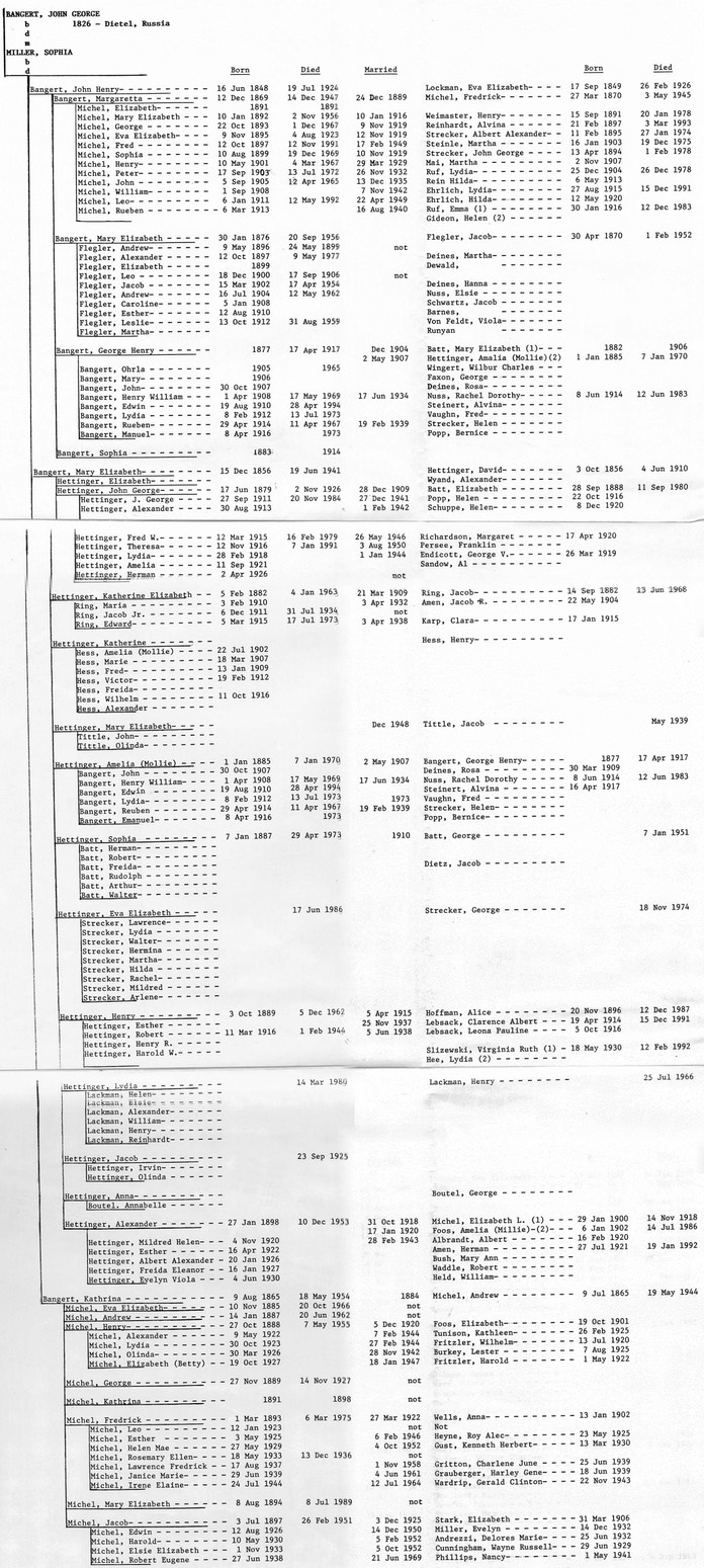 HH215 BangertTreeVers2