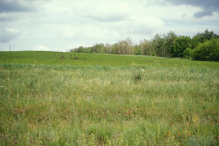 26SteppeGrassesHillsEastOfDeitel