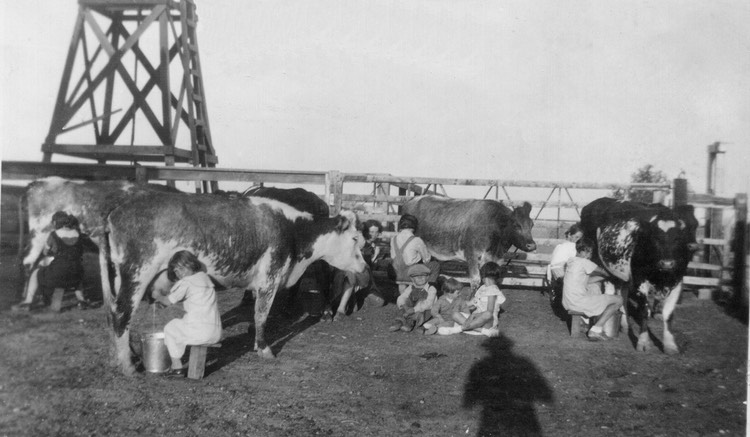 JL027 GirlsMilkingCows