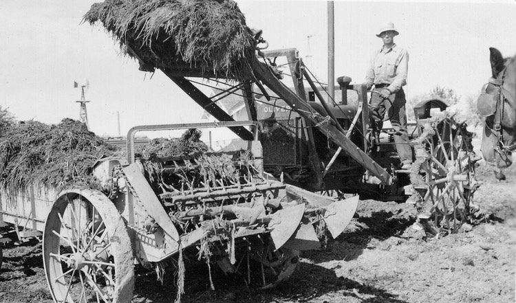 JL034 ClarenceLoaderOliver80 35