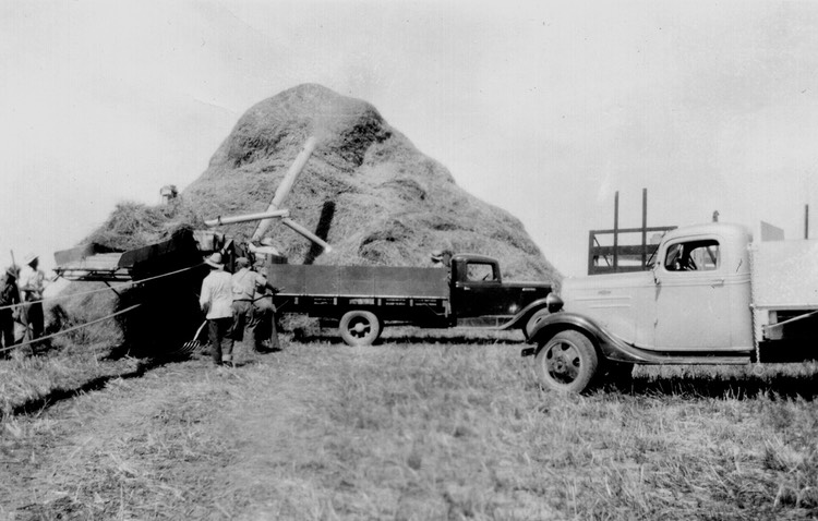 JL036 ThreshingGrain1936