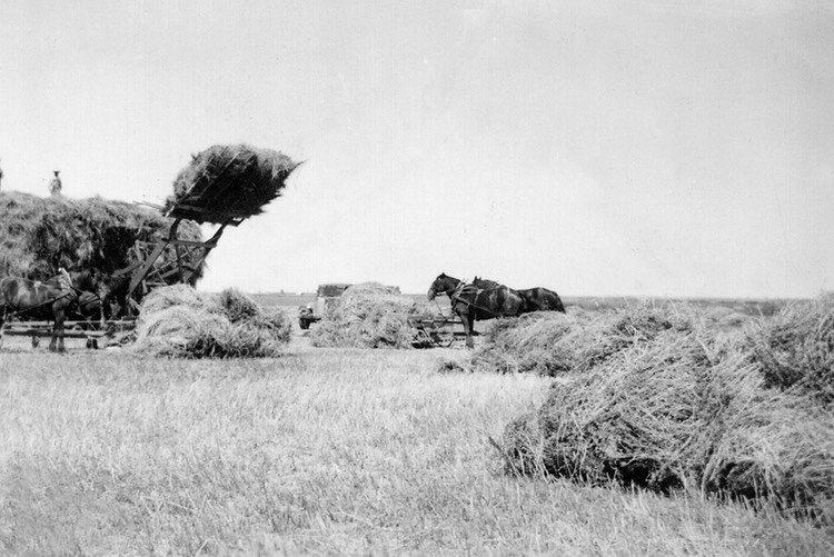 JL037 HayingProctor30s