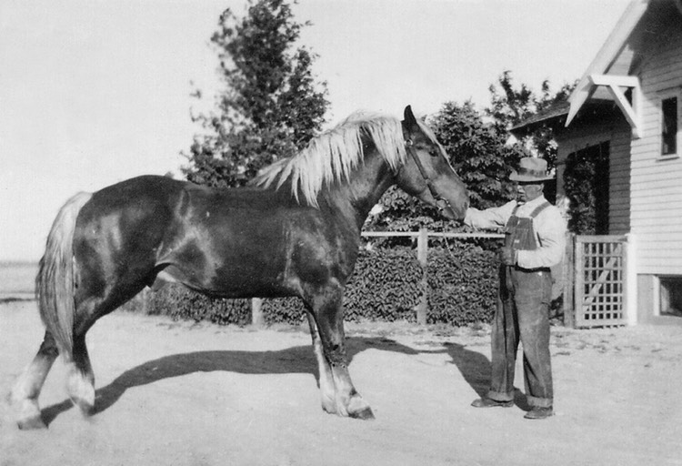 JL045 JacobBelgian37