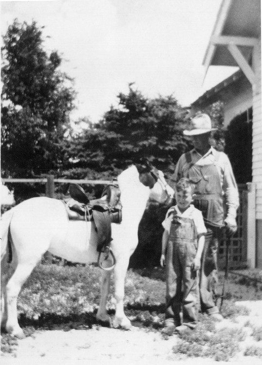 JL054 JacobRobertPony