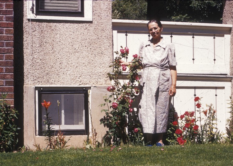 JL137 KatherineLebsackRoses